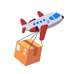 courier charges by air